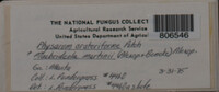 Image Associated With the Occurence